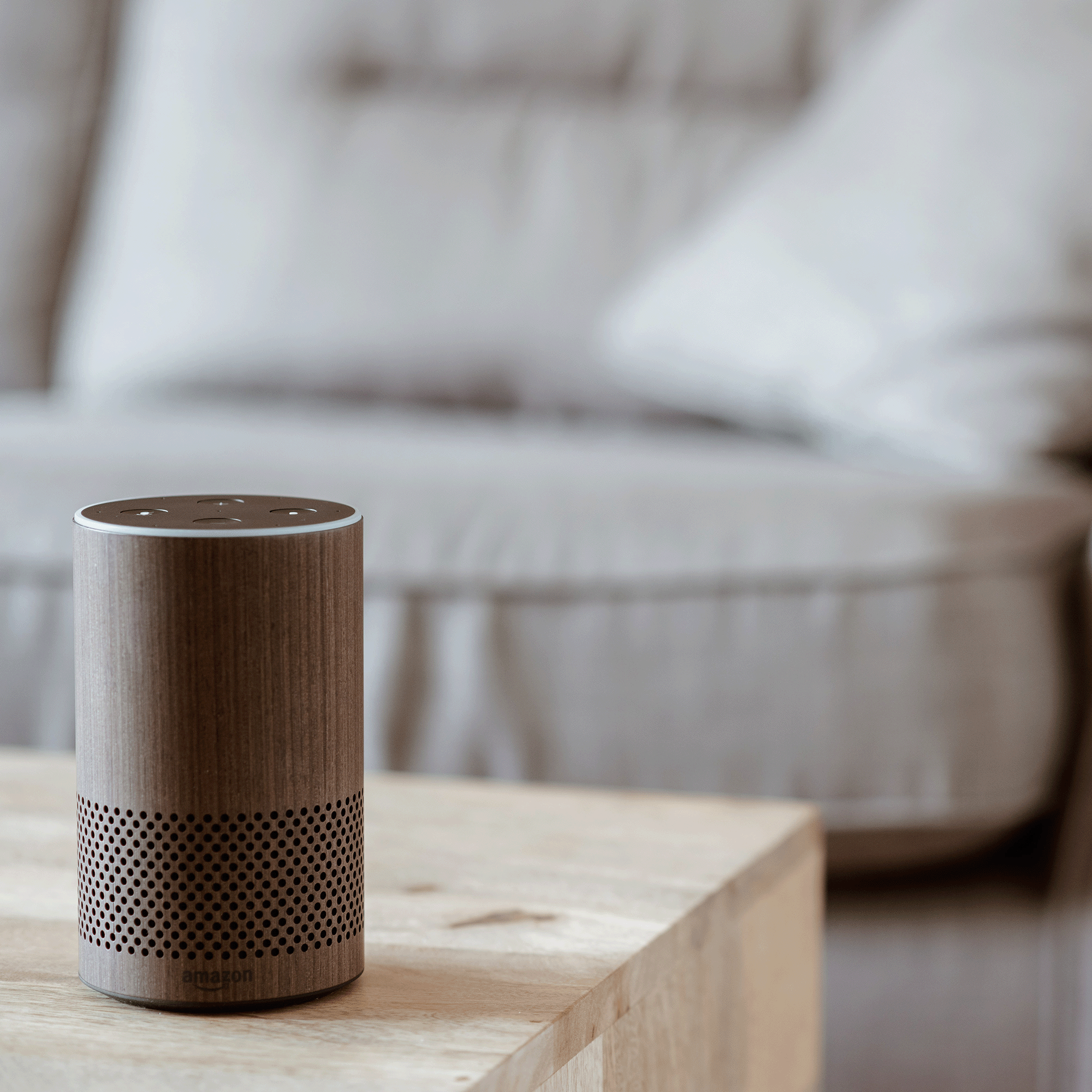 The Alexa Effect: How brands evolve in the age of digital intermediaries